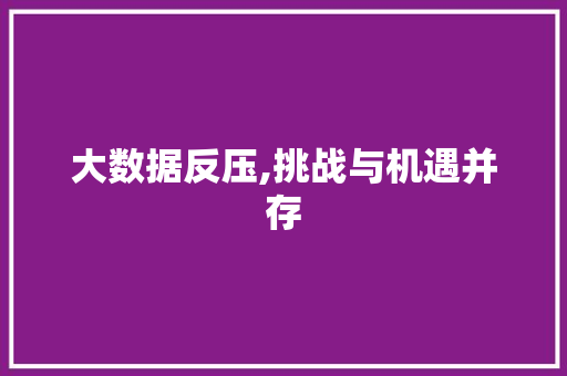 大数据反压,挑战与机遇并存