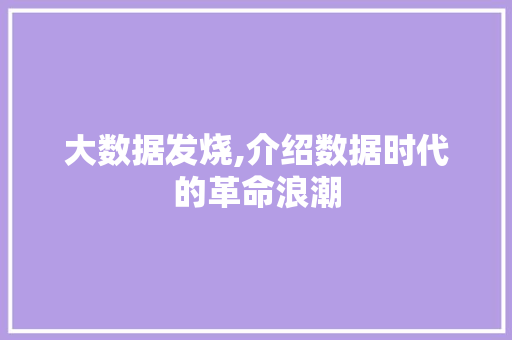 大数据发烧,介绍数据时代的革命浪潮 Bootstrap