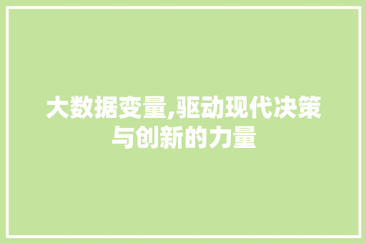 大数据变量,驱动现代决策与创新的力量