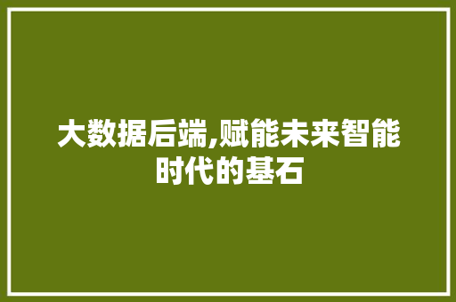 大数据后端,赋能未来智能时代的基石 Vue.js