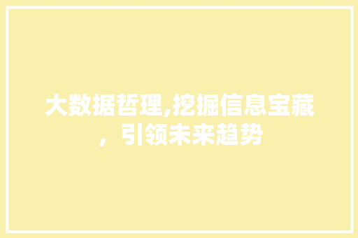 大数据哲理,挖掘信息宝藏，引领未来趋势