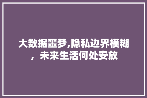 大数据噩梦,隐私边界模糊，未来生活何处安放