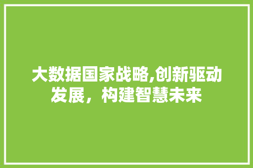 大数据国家战略,创新驱动发展，构建智慧未来 Python