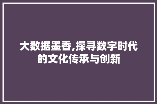 大数据墨香,探寻数字时代的文化传承与创新 CSS