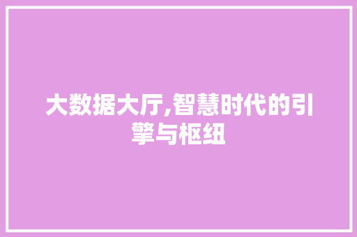 大数据大厅,智慧时代的引擎与枢纽