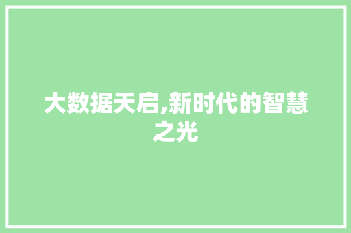 大数据天启,新时代的智慧之光