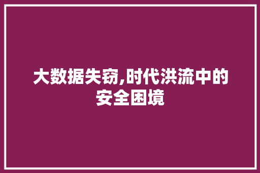 大数据失窃,时代洪流中的安全困境