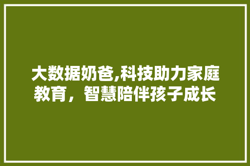 大数据奶爸,科技助力家庭教育，智慧陪伴孩子成长