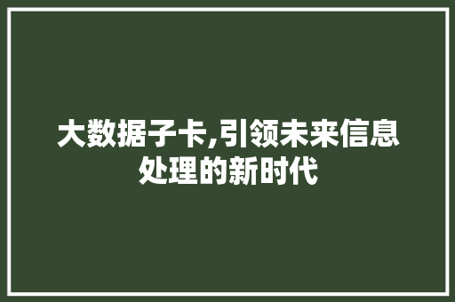 大数据子卡,引领未来信息处理的新时代