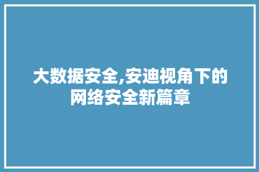 大数据安全,安迪视角下的网络安全新篇章