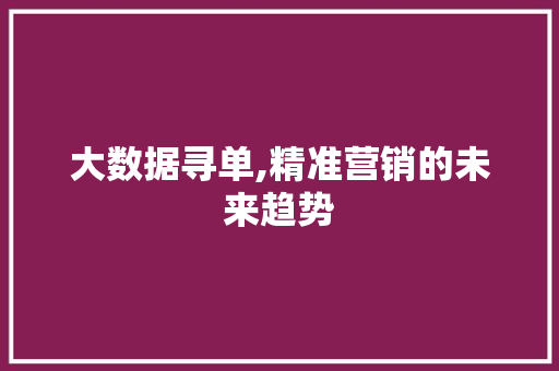 大数据寻单,精准营销的未来趋势 Java