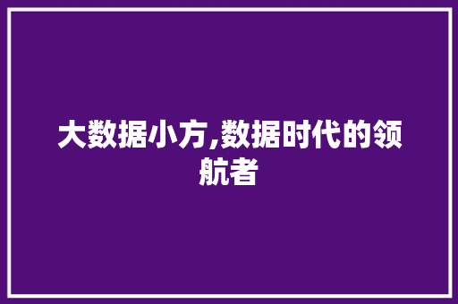 大数据小方,数据时代的领航者