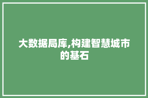 大数据局库,构建智慧城市的基石