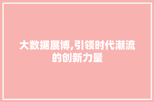 大数据展博,引领时代潮流的创新力量