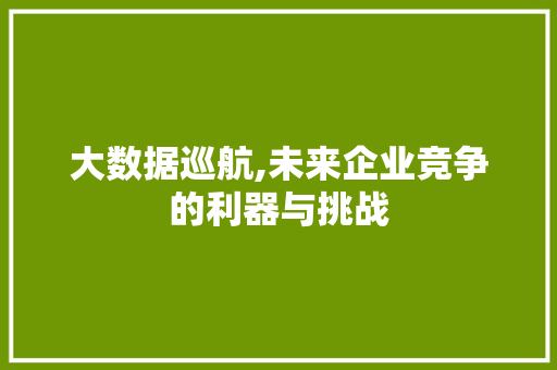 大数据巡航,未来企业竞争的利器与挑战