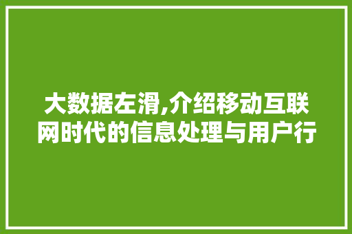 大数据左滑,介绍移动互联网时代的信息处理与用户行为