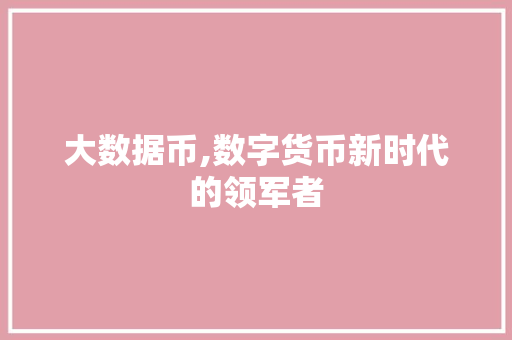 大数据币,数字货币新时代的领军者