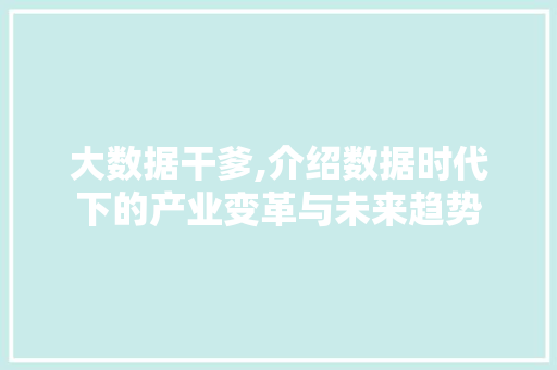 大数据干爹,介绍数据时代下的产业变革与未来趋势