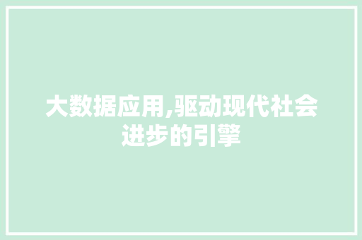 大数据应用,驱动现代社会进步的引擎