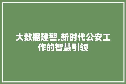 大数据建警,新时代公安工作的智慧引领