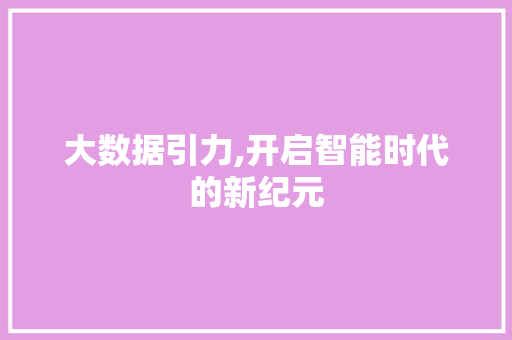 大数据引力,开启智能时代的新纪元