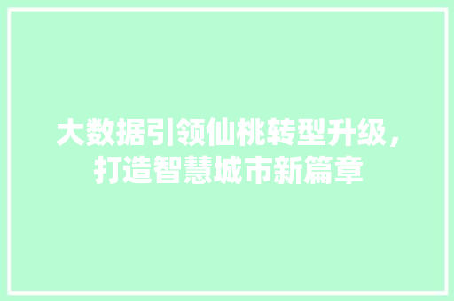 大数据引领仙桃转型升级，打造智慧城市新篇章 CSS