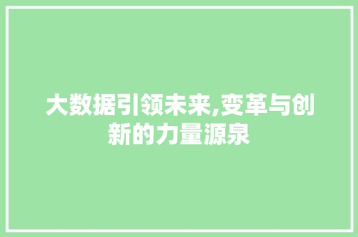 大数据引领未来,变革与创新的力量源泉