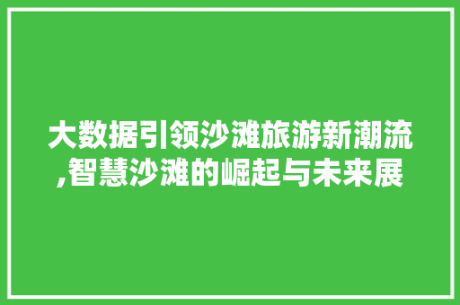 大数据引领沙滩旅游新潮流,智慧沙滩的崛起与未来展望