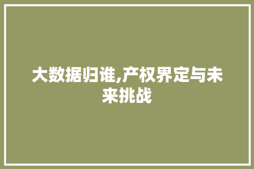 大数据归谁,产权界定与未来挑战