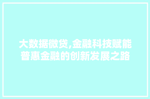 大数据微贷,金融科技赋能普惠金融的创新发展之路