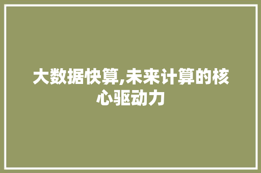 大数据快算,未来计算的核心驱动力