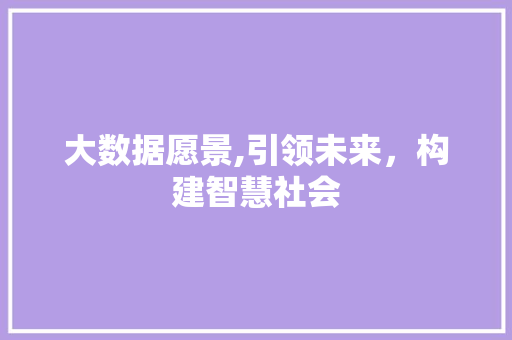 大数据愿景,引领未来，构建智慧社会