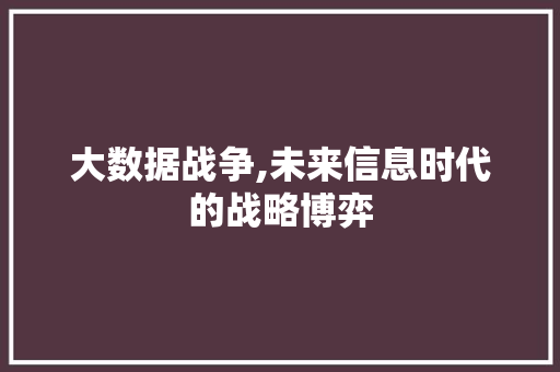 大数据战争,未来信息时代的战略博弈