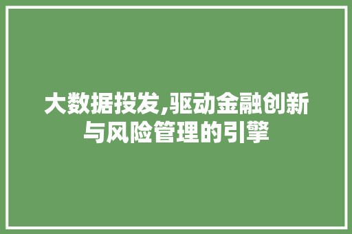 大数据投发,驱动金融创新与风险管理的引擎