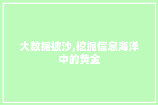 大数据披沙,挖掘信息海洋中的黄金