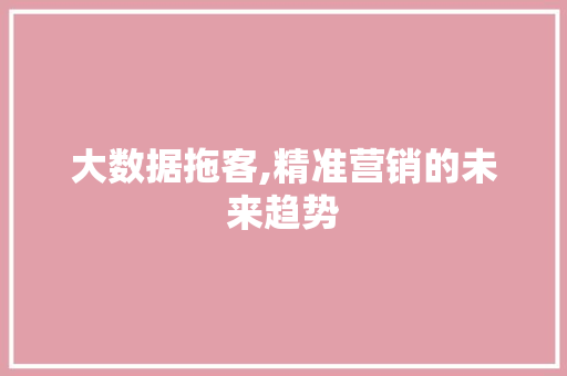 大数据拖客,精准营销的未来趋势