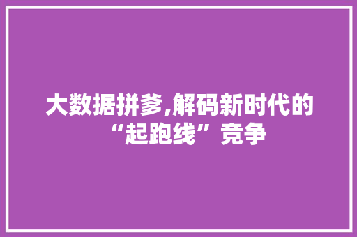 大数据拼爹,解码新时代的“起跑线”竞争