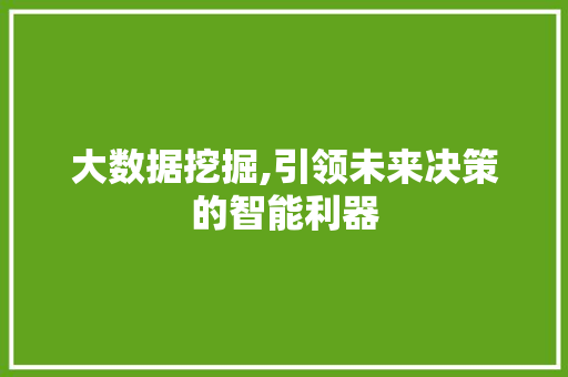 大数据挖掘,引领未来决策的智能利器