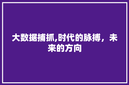 大数据捕抓,时代的脉搏，未来的方向