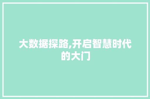 大数据探路,开启智慧时代的大门