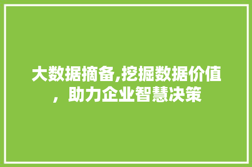 大数据摘备,挖掘数据价值，助力企业智慧决策