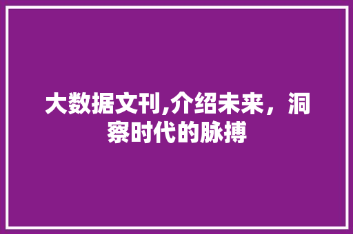 大数据文刊,介绍未来，洞察时代的脉搏