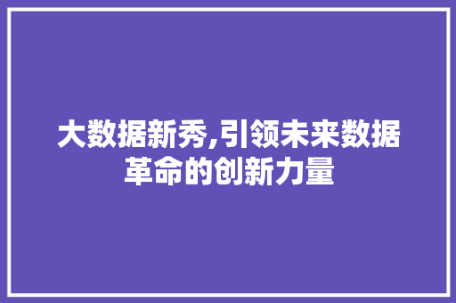 大数据新秀,引领未来数据革命的创新力量