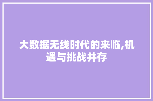 大数据无线时代的来临,机遇与挑战并存