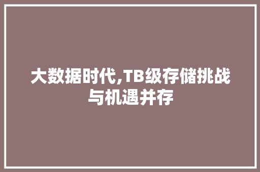 大数据时代,TB级存储挑战与机遇并存