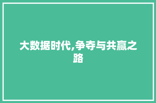 大数据时代,争夺与共赢之路