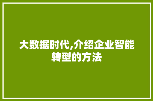 大数据时代,介绍企业智能转型的方法