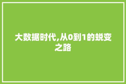 大数据时代,从0到1的蜕变之路