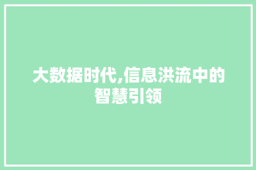 大数据时代,信息洪流中的智慧引领