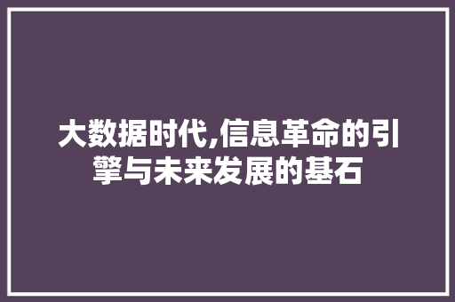 大数据时代,信息革命的引擎与未来发展的基石